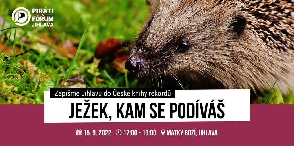 Ježek, kam se podíváš: Pokus o zápis do České knihy rekordů